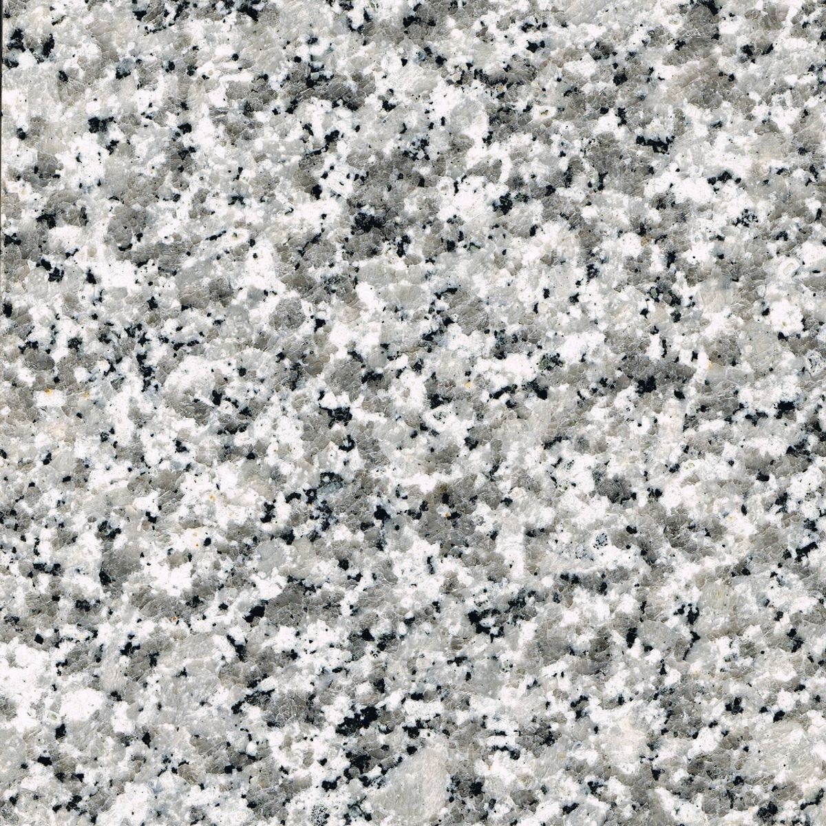 bianco sardo granites