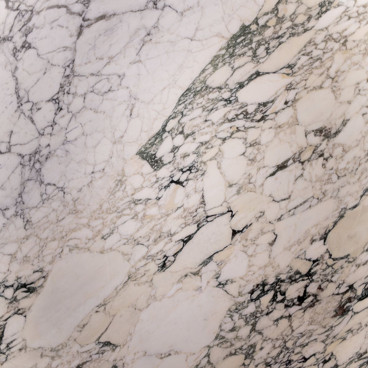 calacatta monet marmor