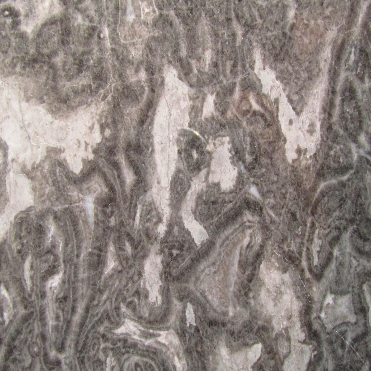 gris cevenol marbres