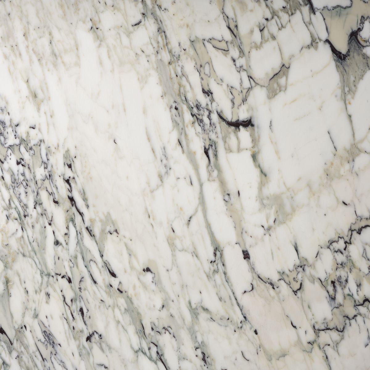 breccia capraia marbles