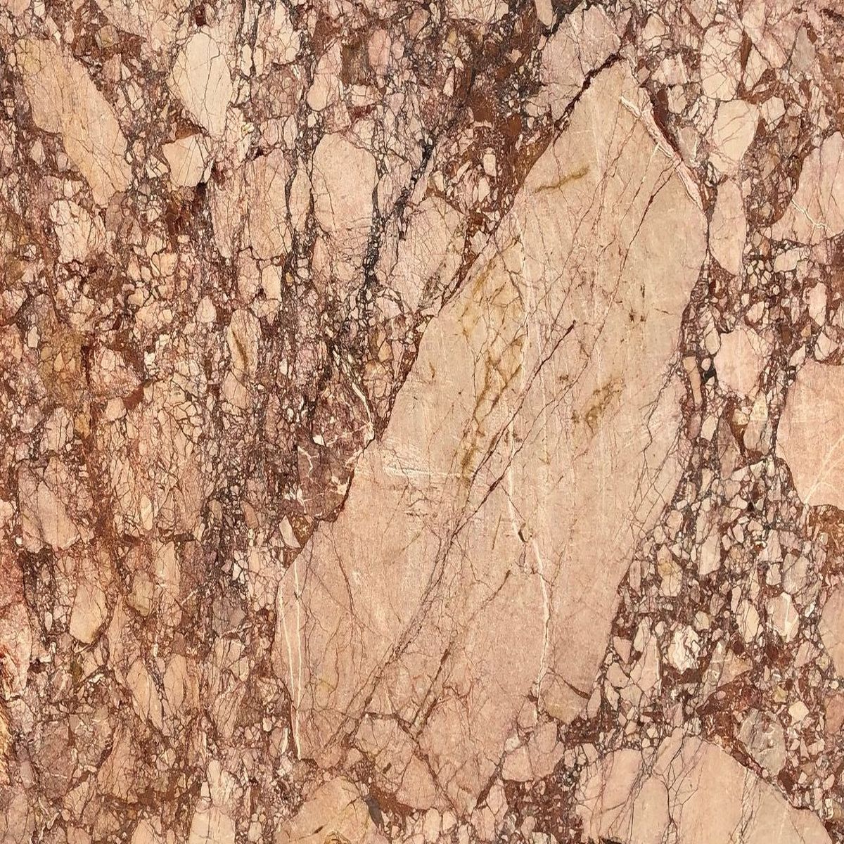 breccia pernice marmor