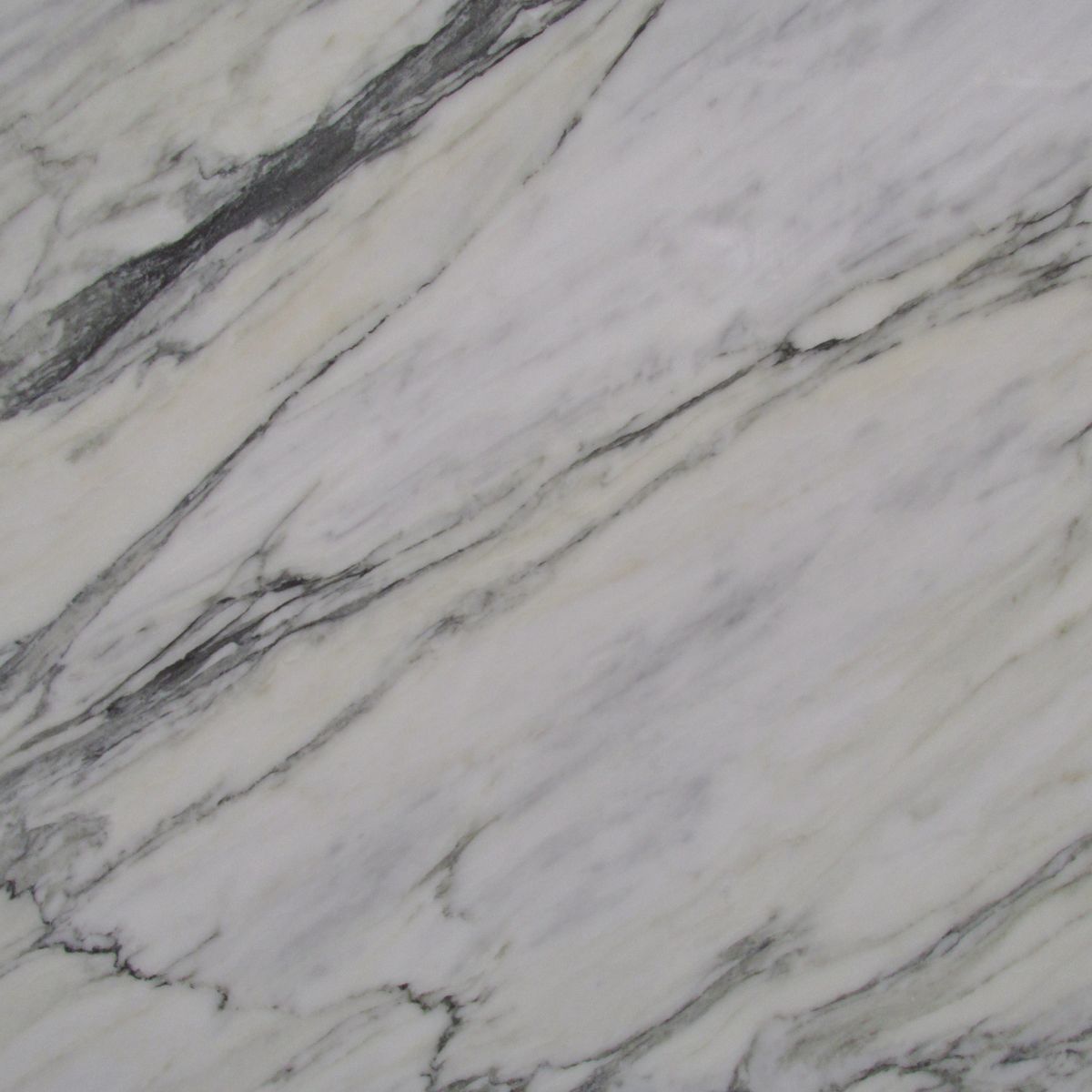 calacatta manhattan marbles