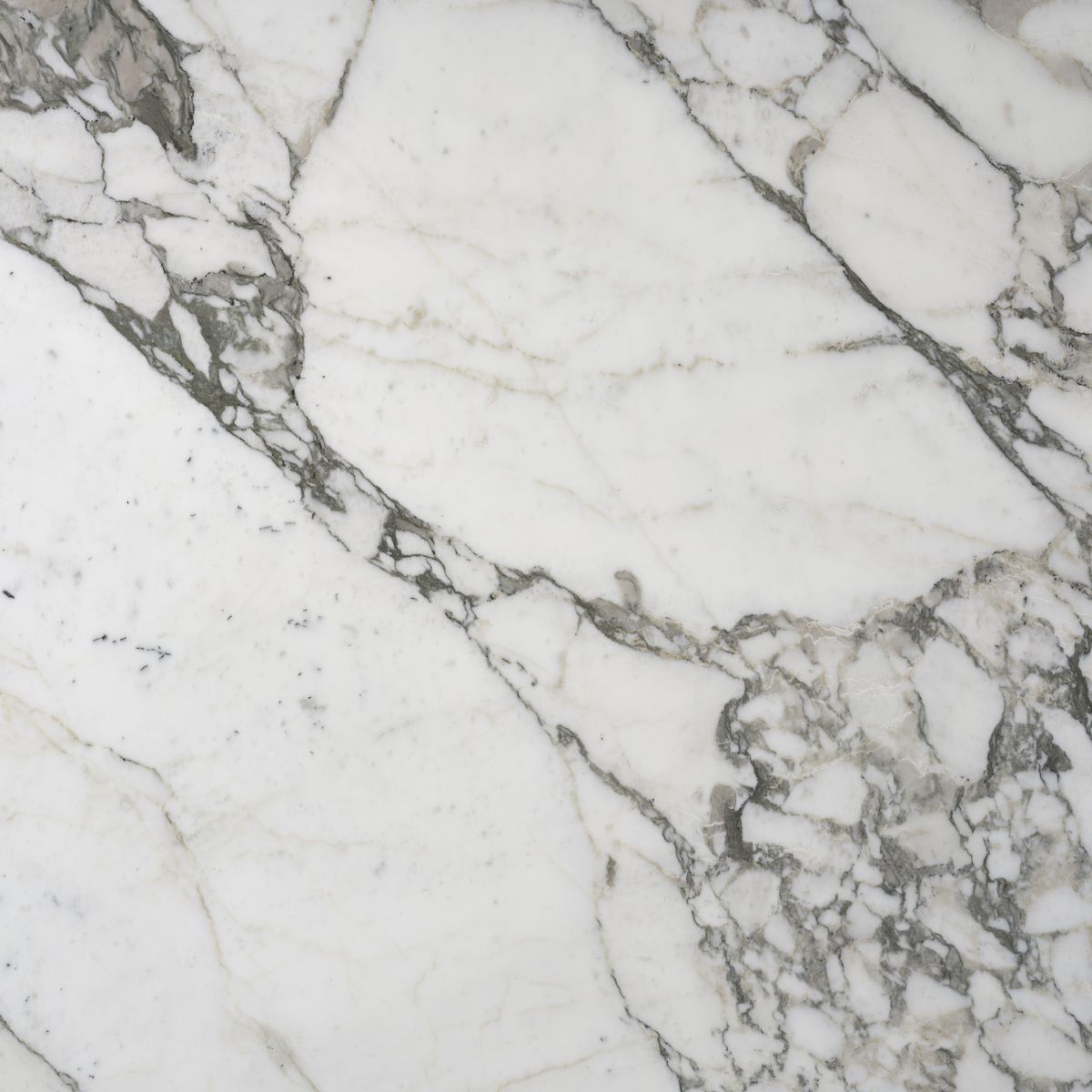 calacatta vagli marbles