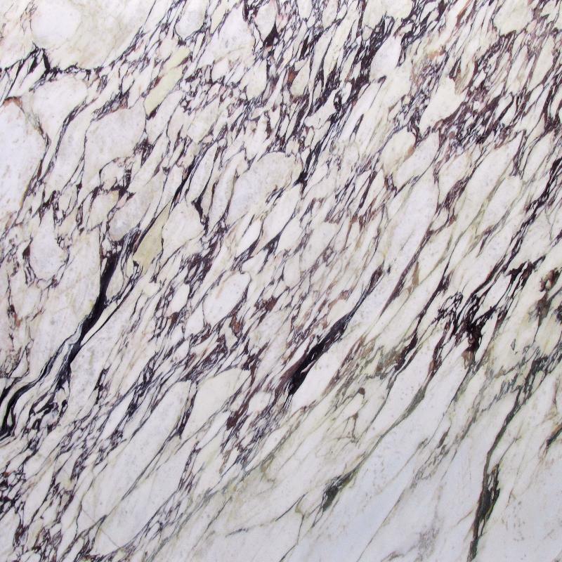 calacatta viola marbles