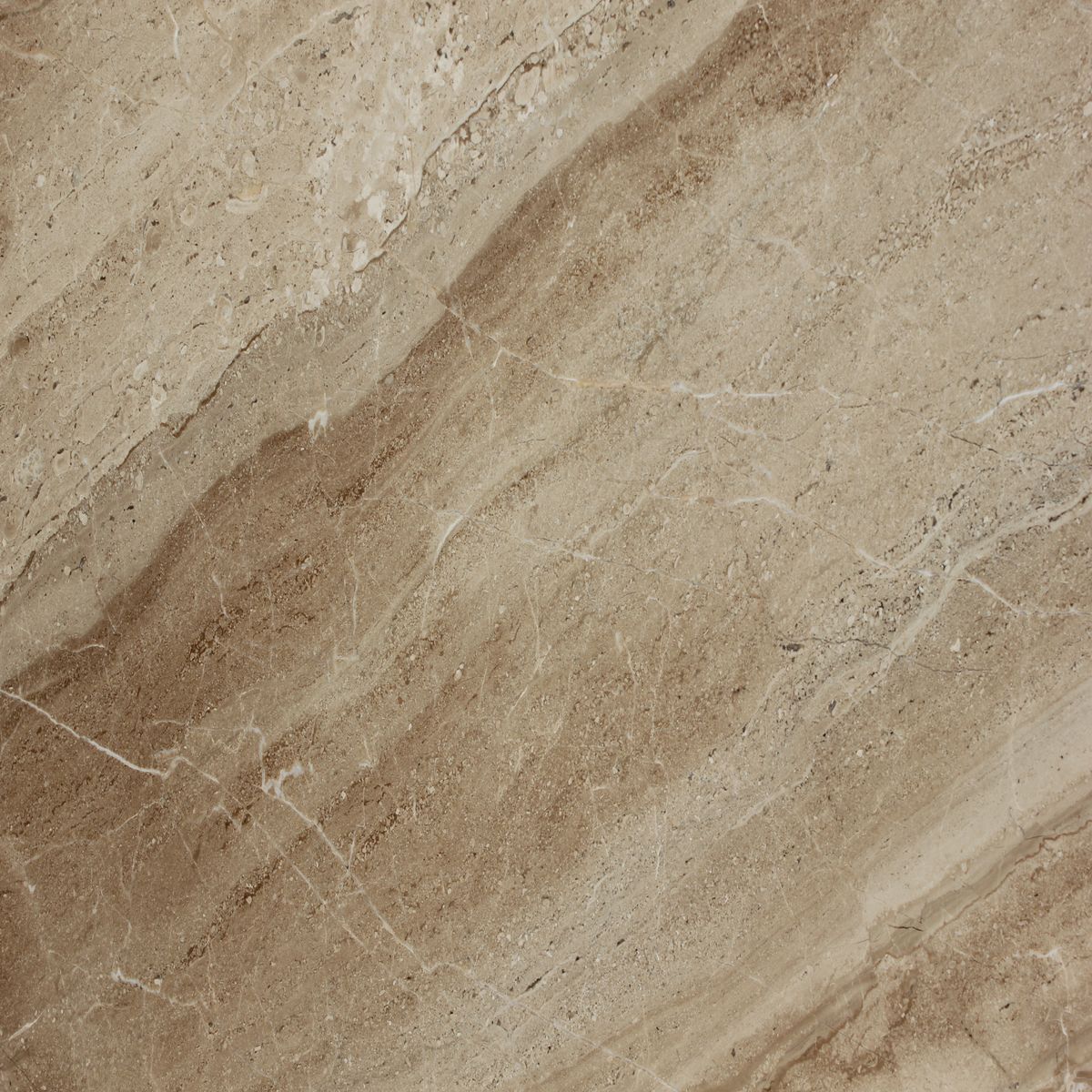 daino reale marbles daino reale marbles