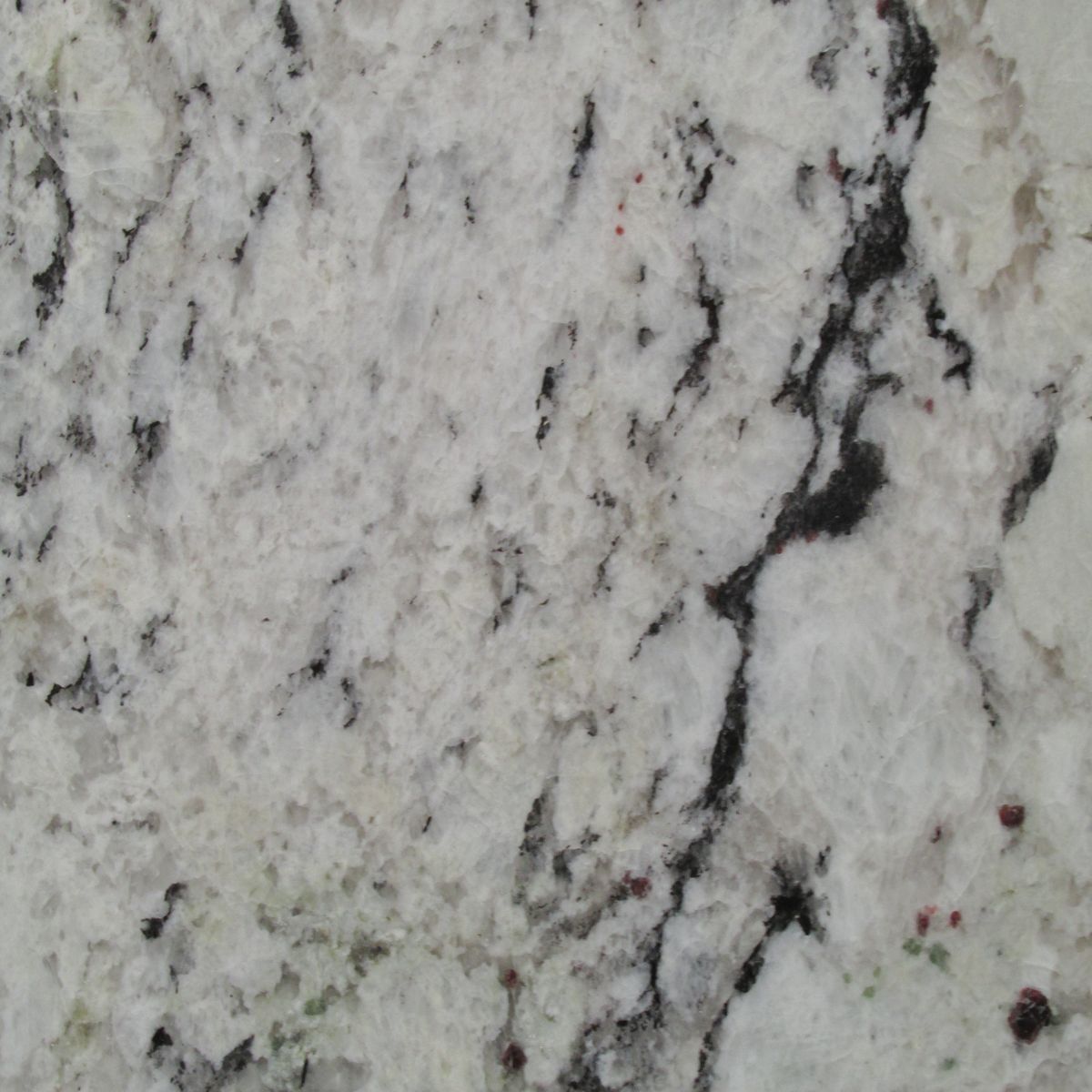 delicatus cream granites