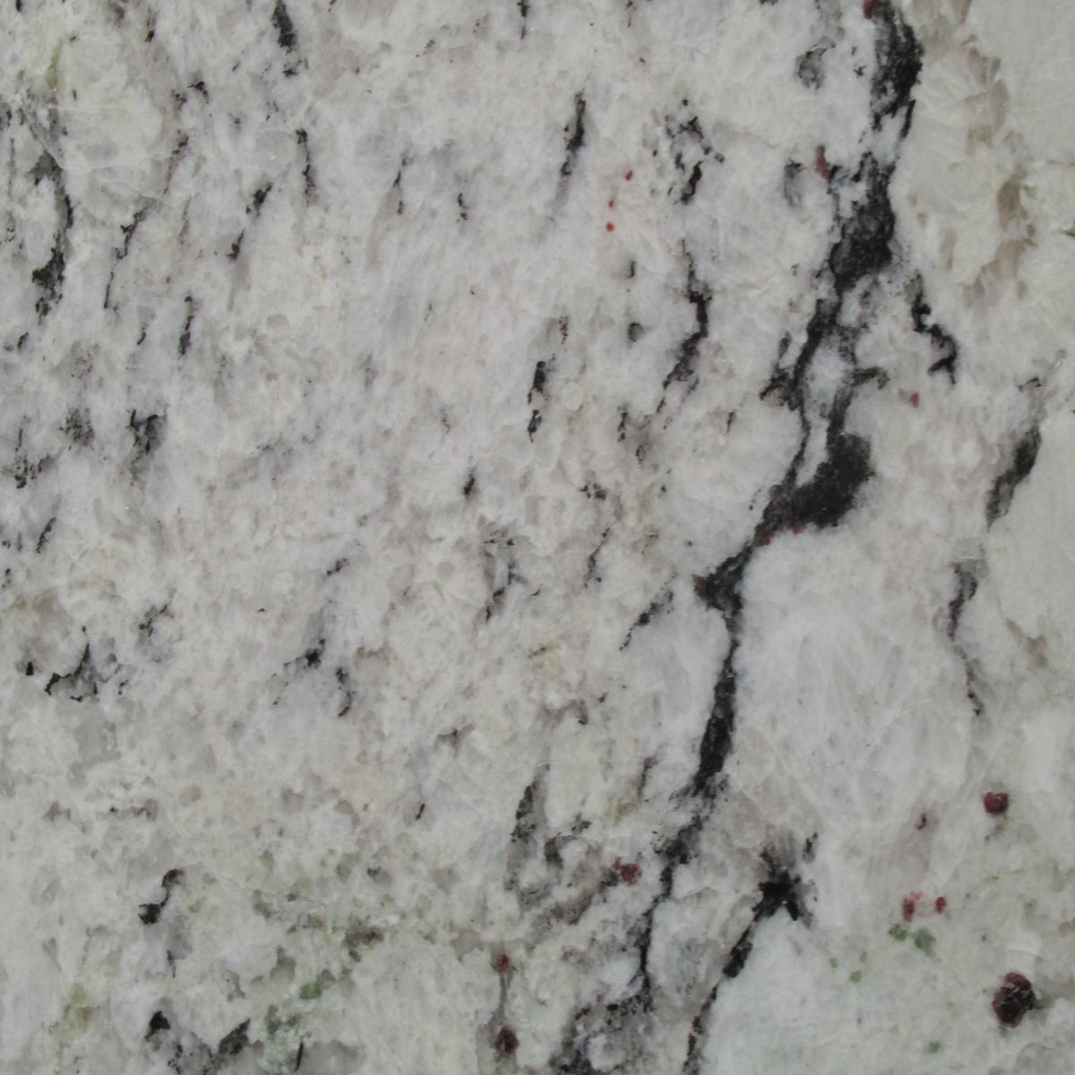 delicatus cream granit