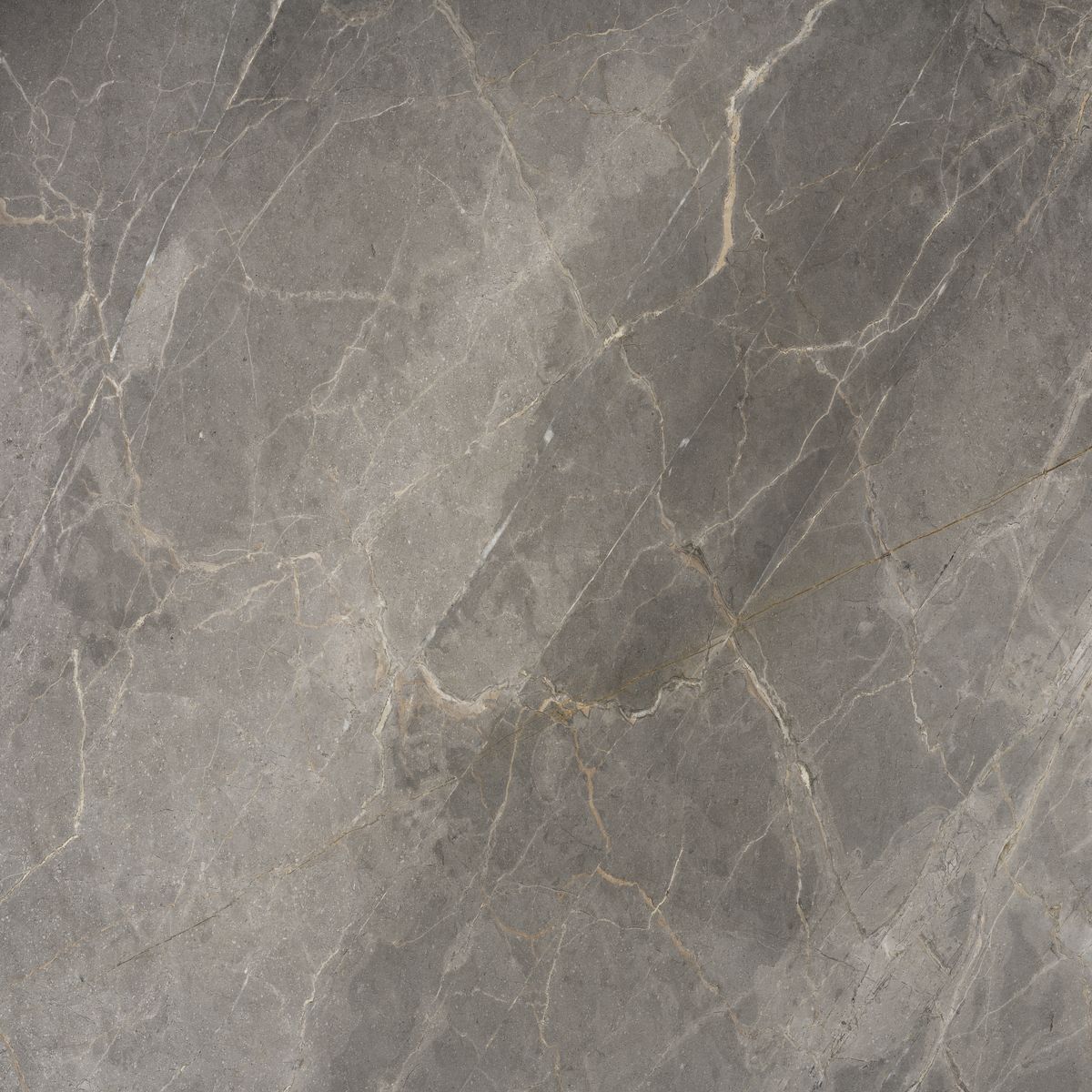 grigio fior di bosco marbles