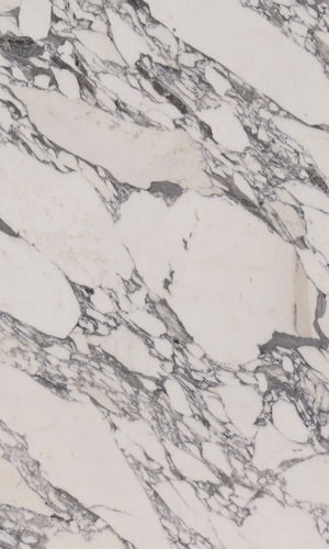 arabescato corchia marbles