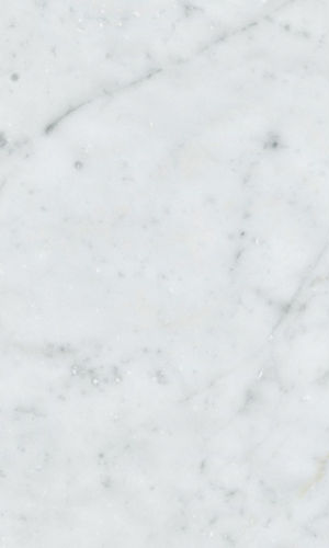 bianco carrara marmi