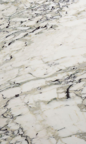 breccia capraia marbles