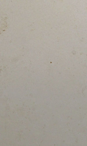 crema luna limestone