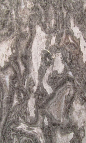 gris cevenol marmor