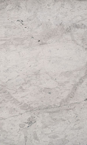 thala grigio sandstone