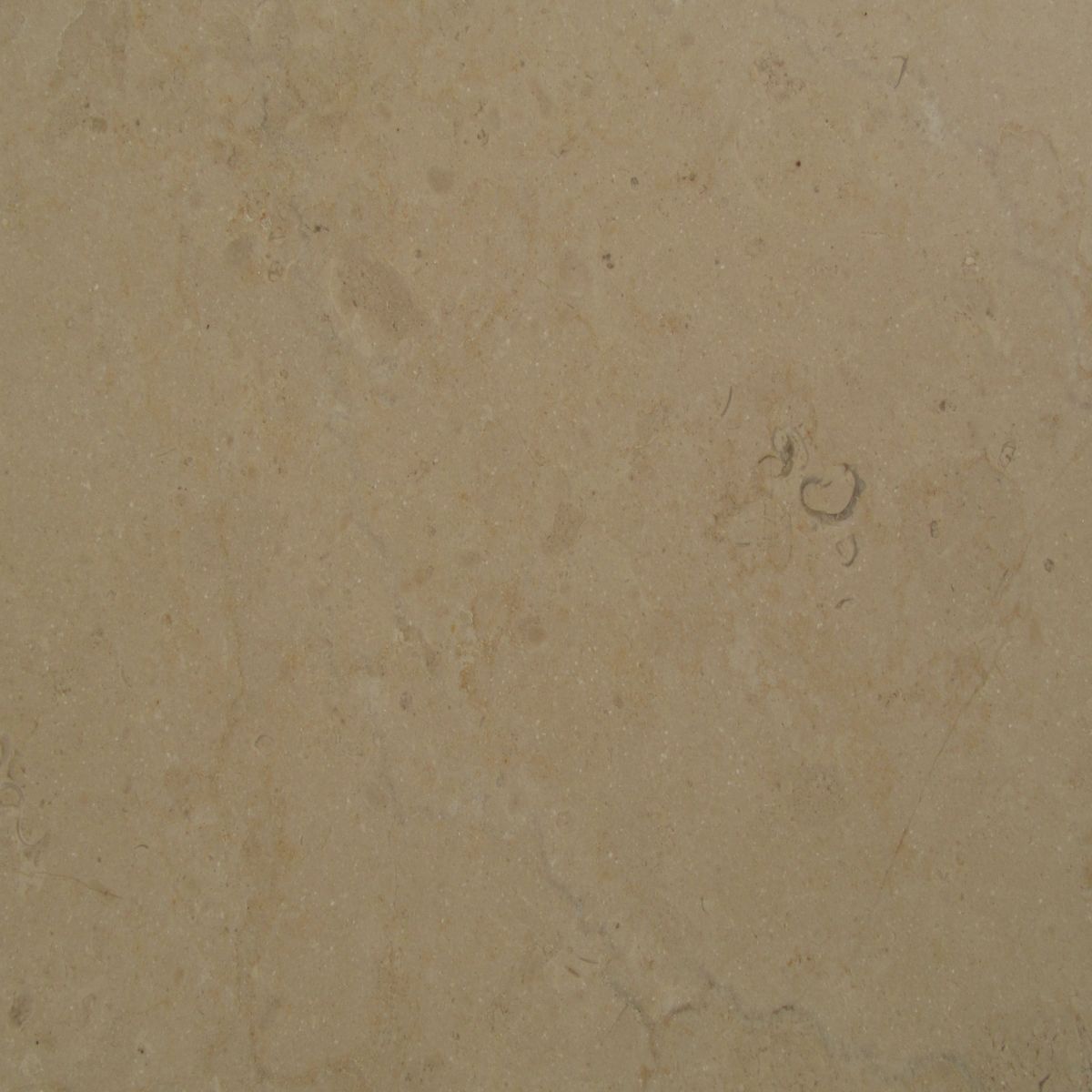 thala beige limestone thala beige limestone